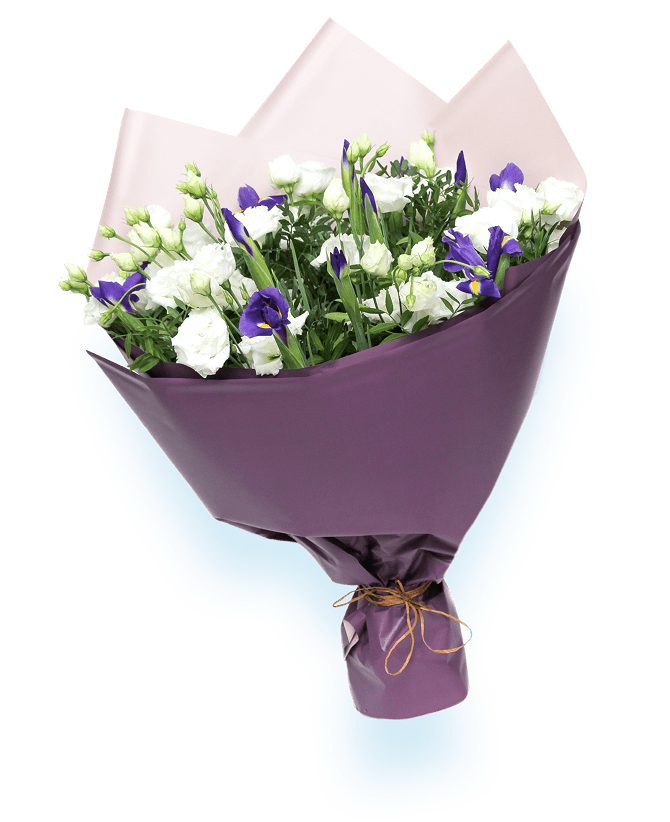 доп картинка результаты